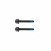 Campagnolo® Campagnolo Viti Per Impianto Frenante 39mm 2pz